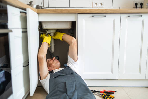 Best Garbage Disposal Repair and Installation  in Sanborn, NY